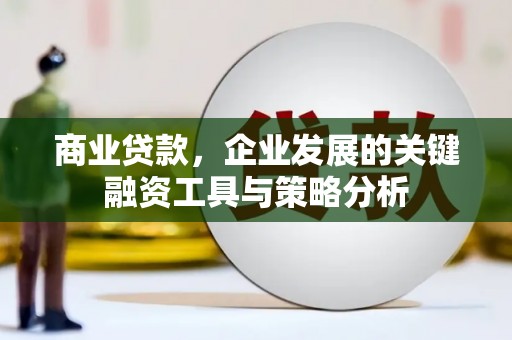 乡城商业贷款，企业发展的关键融资工具与策略分析