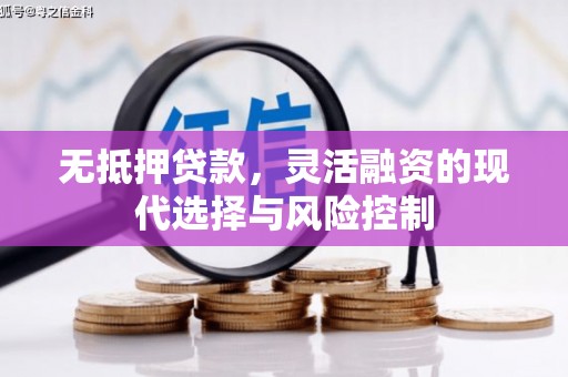 乡城无抵押贷款，灵活融资的现代选择与风险控制