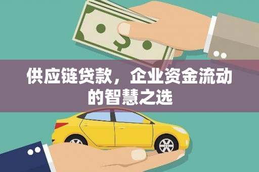 乡城供应链贷款，企业资金流动的智慧之选