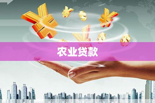 乡城农业贷款