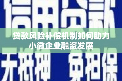 乡城贷款风险补偿机制如何助力小微企业融资发展