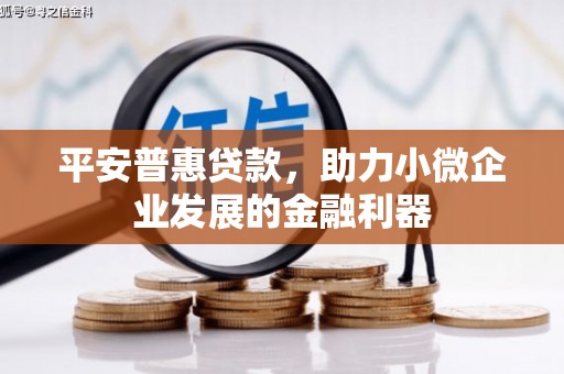 乡城平安普惠贷款，助力小微企业发展的金融利器