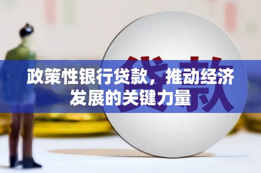 乡城政策性银行贷款，推动经济发展的关键力量