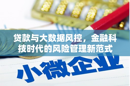 乡城贷款与大数据风控，金融科技时代的风险管理新范式