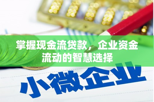 乡城掌握现金流贷款，企业资金流动的智慧选择