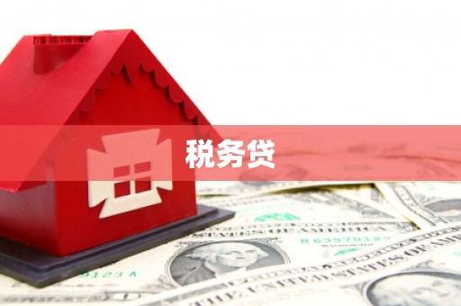 乡城税务贷