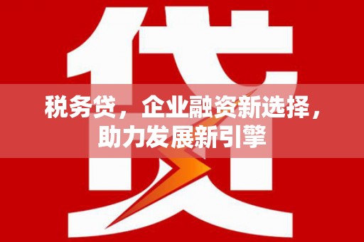 乡城税务贷，企业融资新选择，助力发展新引擎
