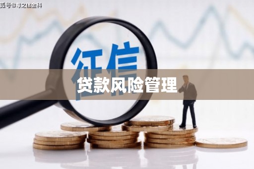 乡城贷款风险管理
