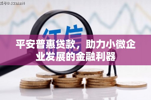 乡城平安普惠贷款，助力小微企业发展的金融利器