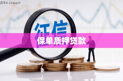 乡城保单质押贷款
