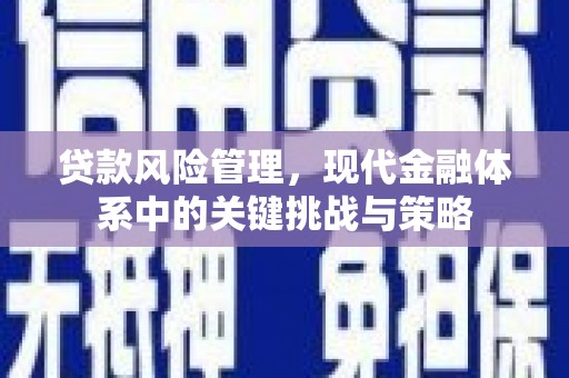 乡城贷款风险管理，现代金融体系中的关键挑战与策略