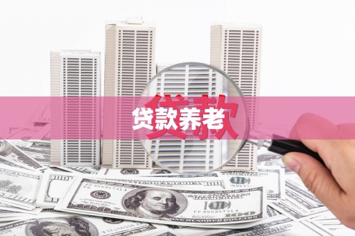 乡城贷款养老
