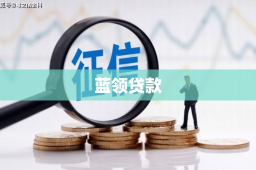 乡城蓝领贷款