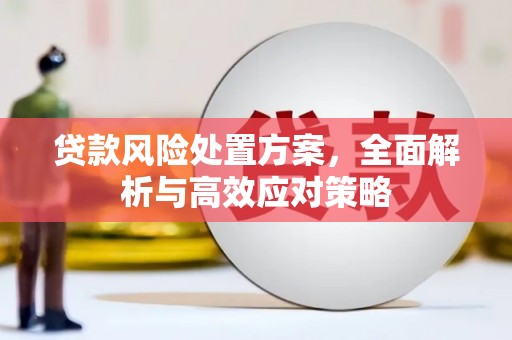 乡城贷款风险处置方案，全面解析与高效应对策略