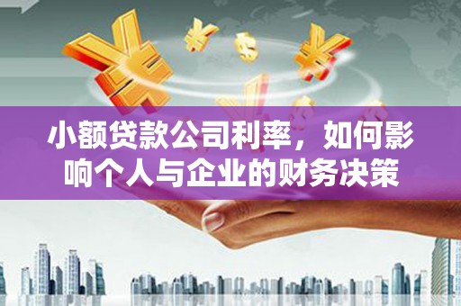 乡城小额贷款公司利率，如何影响个人与企业的财务决策