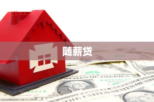 乡城随薪贷