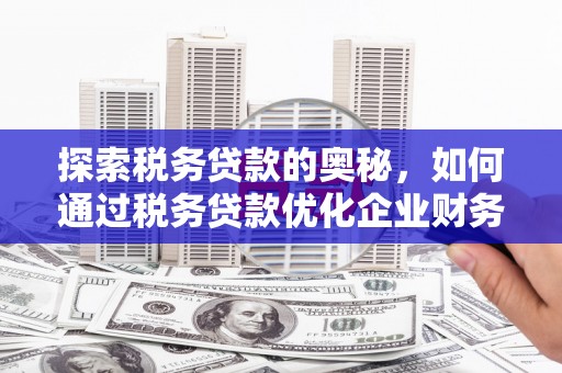 乡城探索税务贷款的奥秘，如何通过税务贷款优化企业财务