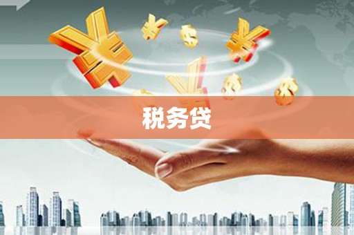 乡城税务贷