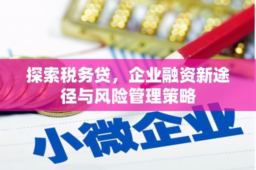 乡城探索税务贷，企业融资新途径与风险管理策略
