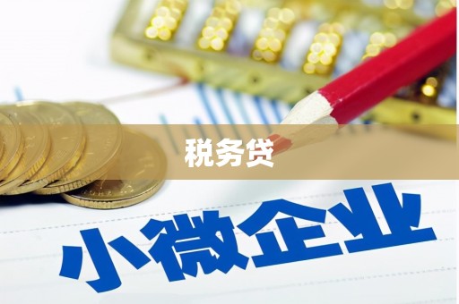 乡城税务贷