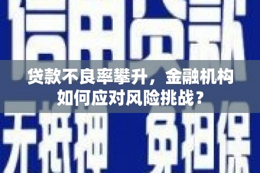 乡城贷款不良率攀升，金融机构如何应对风险挑战？