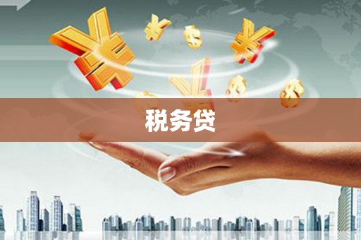 乡城税务贷