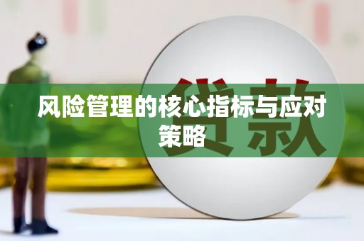 乡城风险管理的核心指标与应对策略