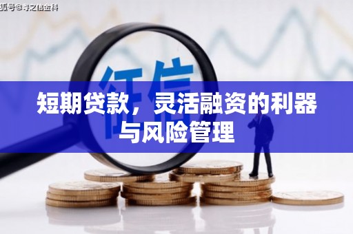 乡城短期贷款，灵活融资的利器与风险管理