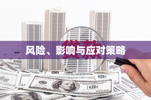 乡城风险、影响与应对策略
