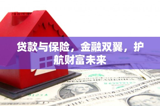 乡城贷款与保险，金融双翼，护航财富未来