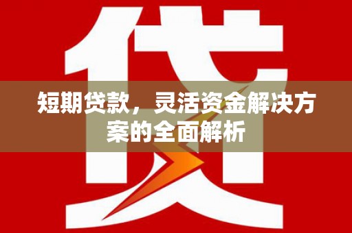 乡城短期贷款，灵活资金解决方案的全面解析