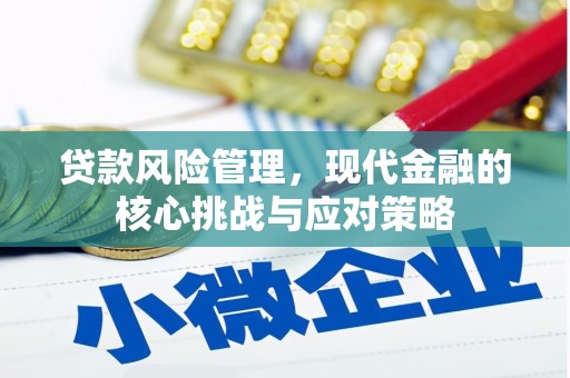乡城贷款风险管理，现代金融的核心挑战与应对策略
