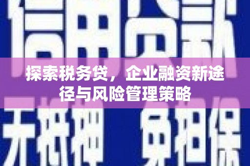 乡城探索税务贷，企业融资新途径与风险管理策略