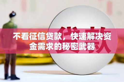 乡城不看征信贷款，快速解决资金需求的秘密武器