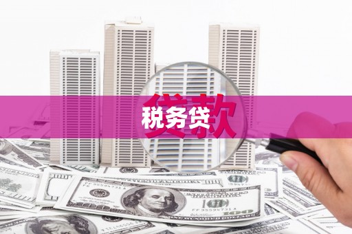 乡城税务贷