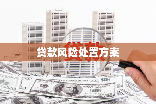 乡城贷款风险处置方案