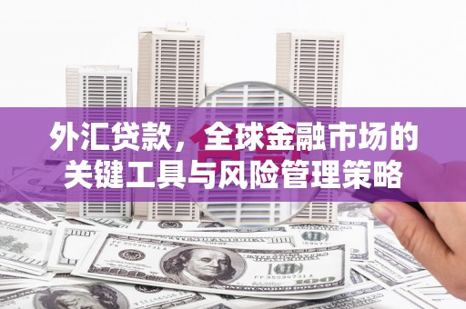 乡城外汇贷款，全球金融市场的关键工具与风险管理策略