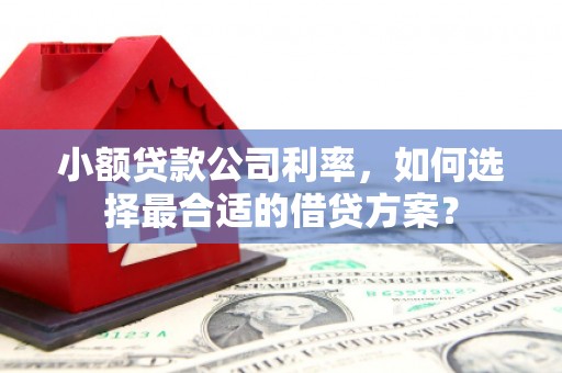 乡城小额贷款公司利率，如何选择最合适的借贷方案？