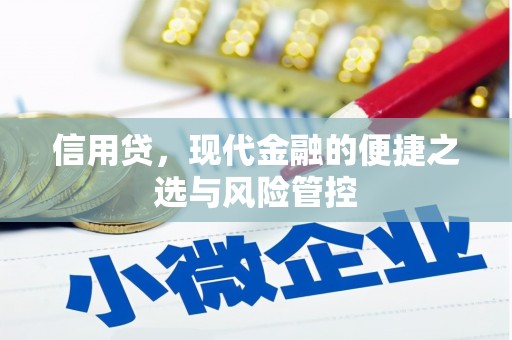 乡城信用贷，现代金融的便捷之选与风险管控