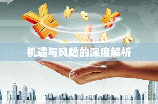 乡城机遇与风险的深度解析