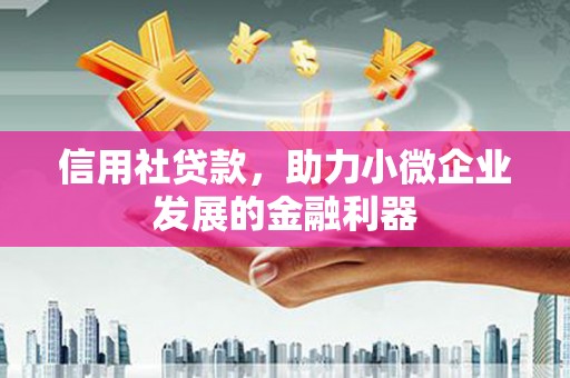乡城信用社贷款，助力小微企业发展的金融利器