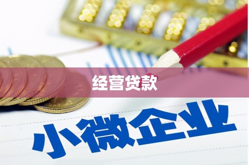 乡城经营贷款