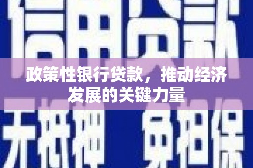 乡城政策性银行贷款，推动经济发展的关键力量