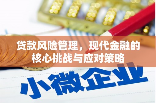 乡城贷款风险管理，现代金融的核心挑战与应对策略