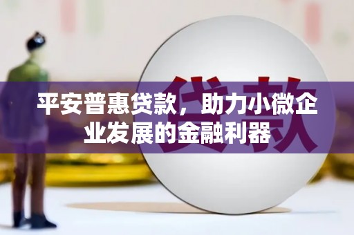 乡城平安普惠贷款，助力小微企业发展的金融利器