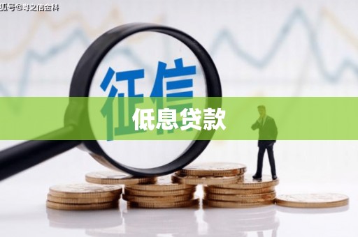 乡城低息贷款