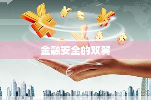 乡城金融安全的双翼