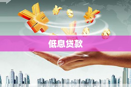 乡城低息贷款
