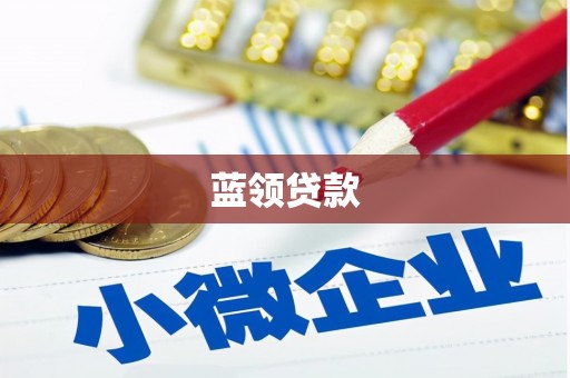 乡城蓝领贷款