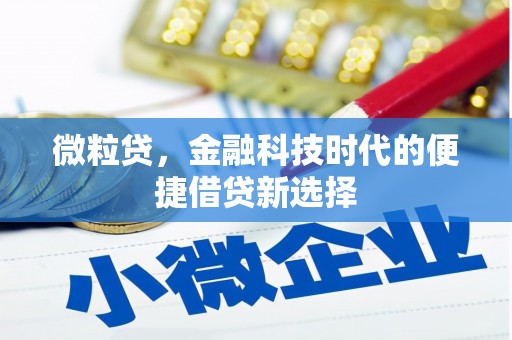 乡城微粒贷，金融科技时代的便捷借贷新选择
